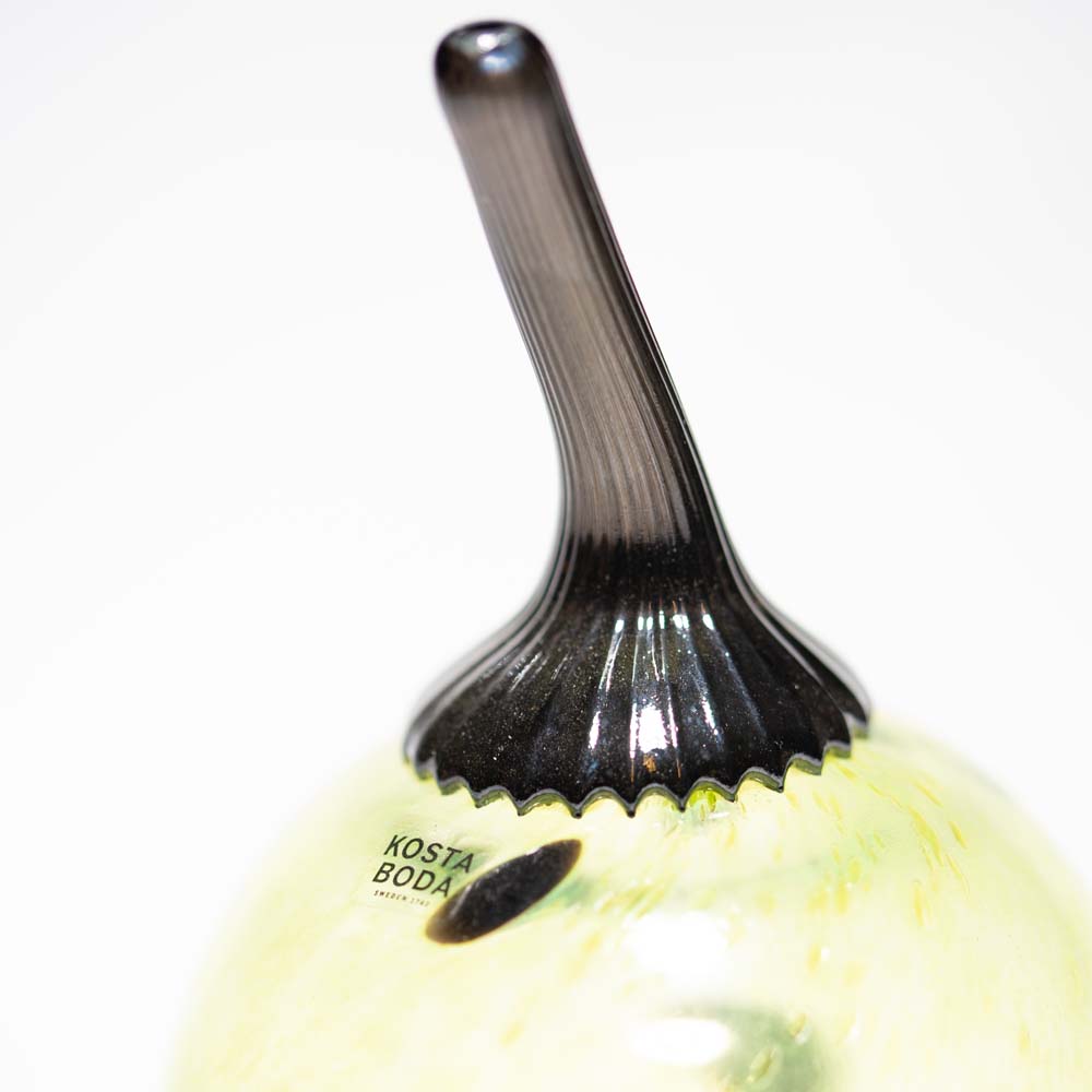 Roots Lime